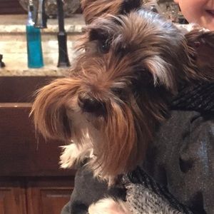 Meet your Posher, Kasey